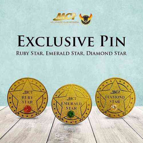 Exclusive Pin Star