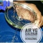 Bioglass 2+