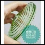 Bioglass 2+
