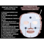 lumiface beauty mask